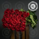 گل شاخه بریده قرمز