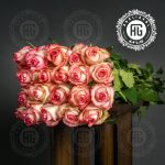 رز شاخه بریده جومولیا